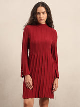 Women's Maroon Casual Solid Straight Bodycon Dress