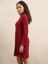 Women's Maroon Casual Solid Straight Bodycon Dress