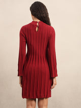 Women's Maroon Casual Solid Straight Bodycon Dress