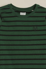 Boys Green Casual Striped Regular Fit Full Sleeves Tshirt