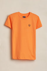 Boys Green and Orange Casual Solid Regular Fit Tshirt - Pack of 2