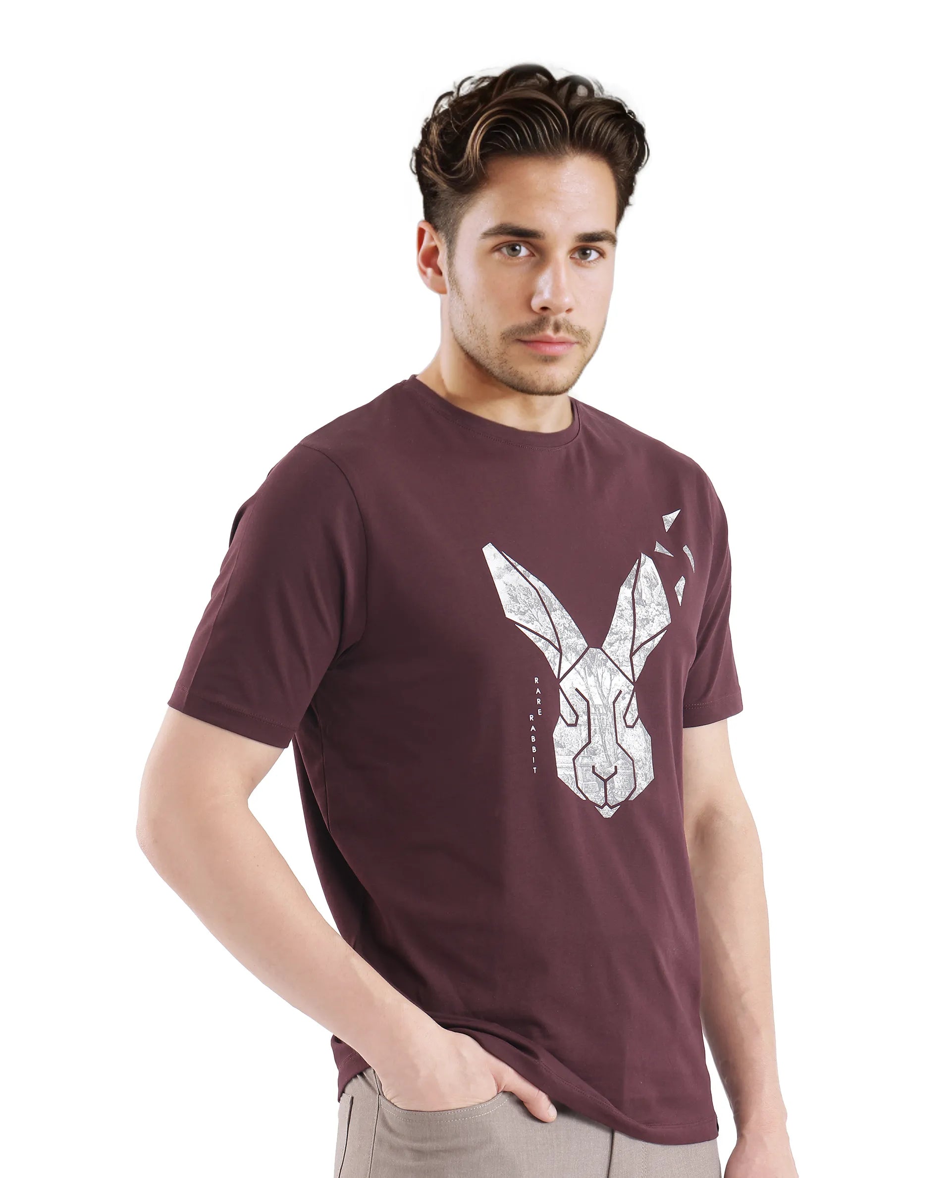 Men's Red Casual Regular Fit Printed Half Sleeves Tshirt