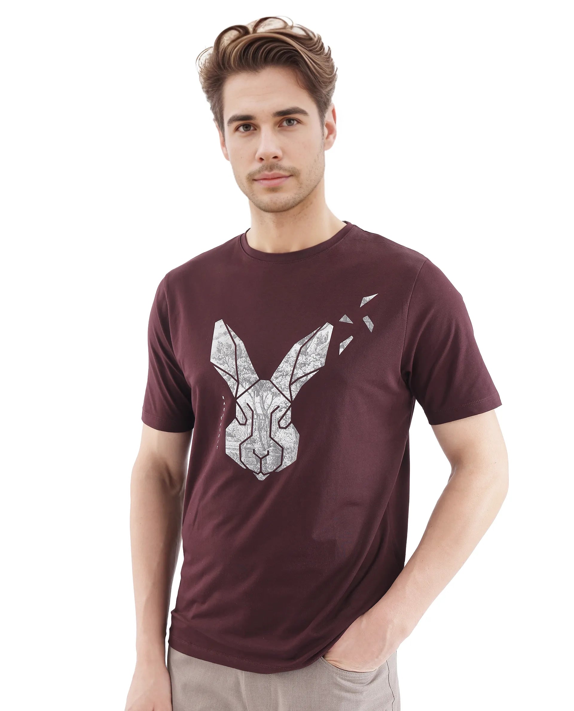 Men's Red Casual Regular Fit Printed Half Sleeves Tshirt
