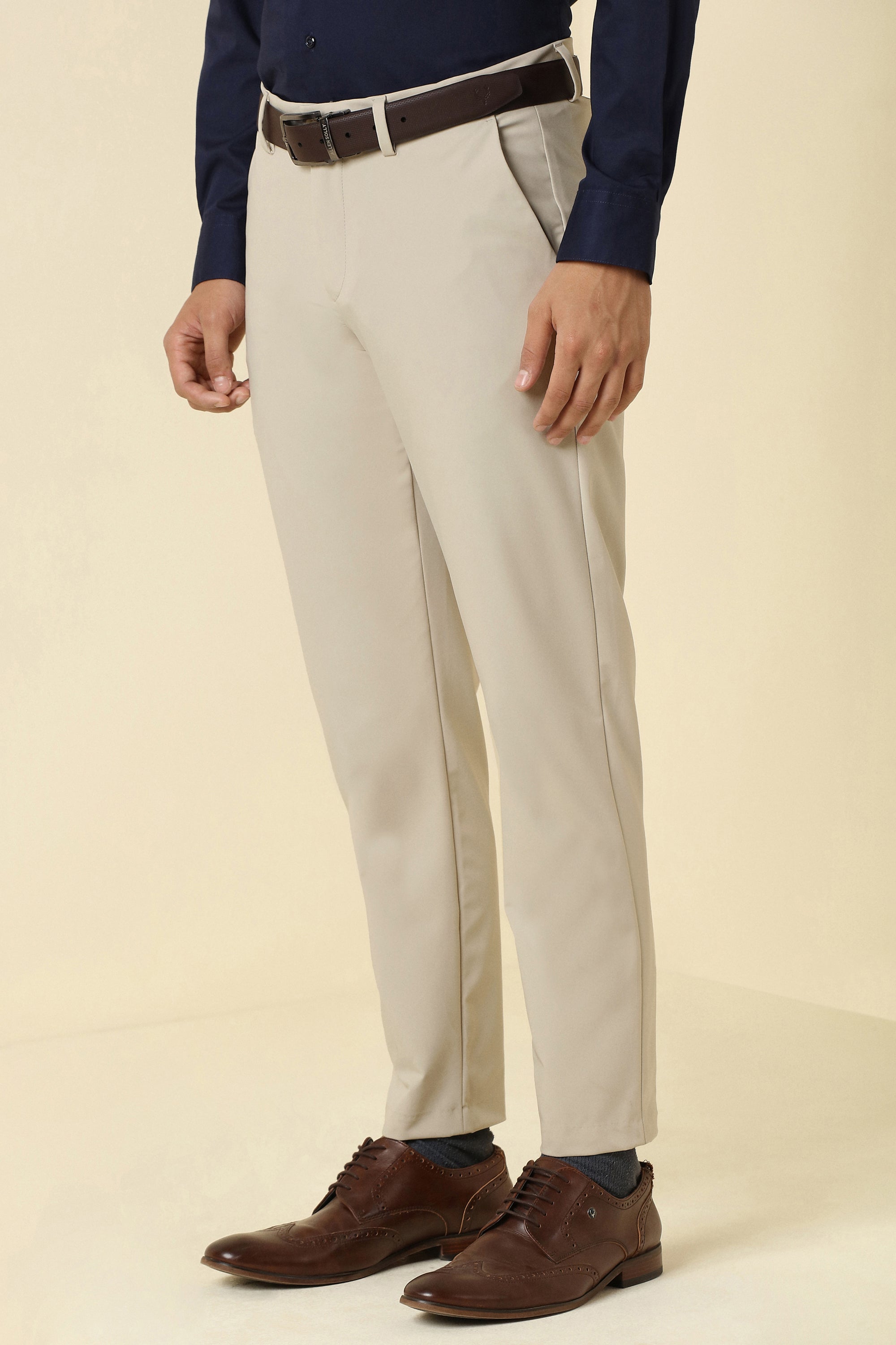 Men's Beige Formal Regular Length Trouser