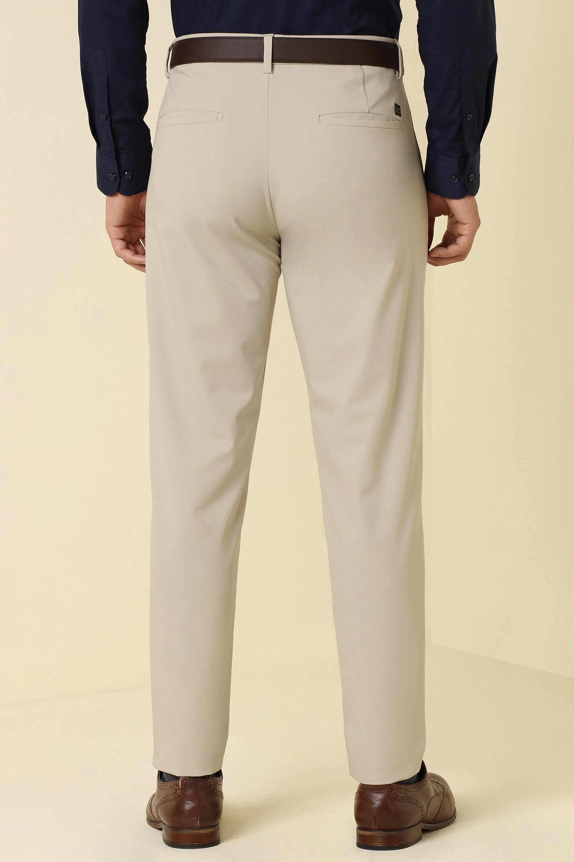 Men's Beige Formal Regular Length Trouser