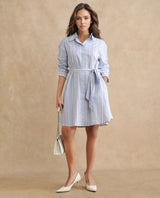 Women's Blue Casual Full Sleeves Dress
