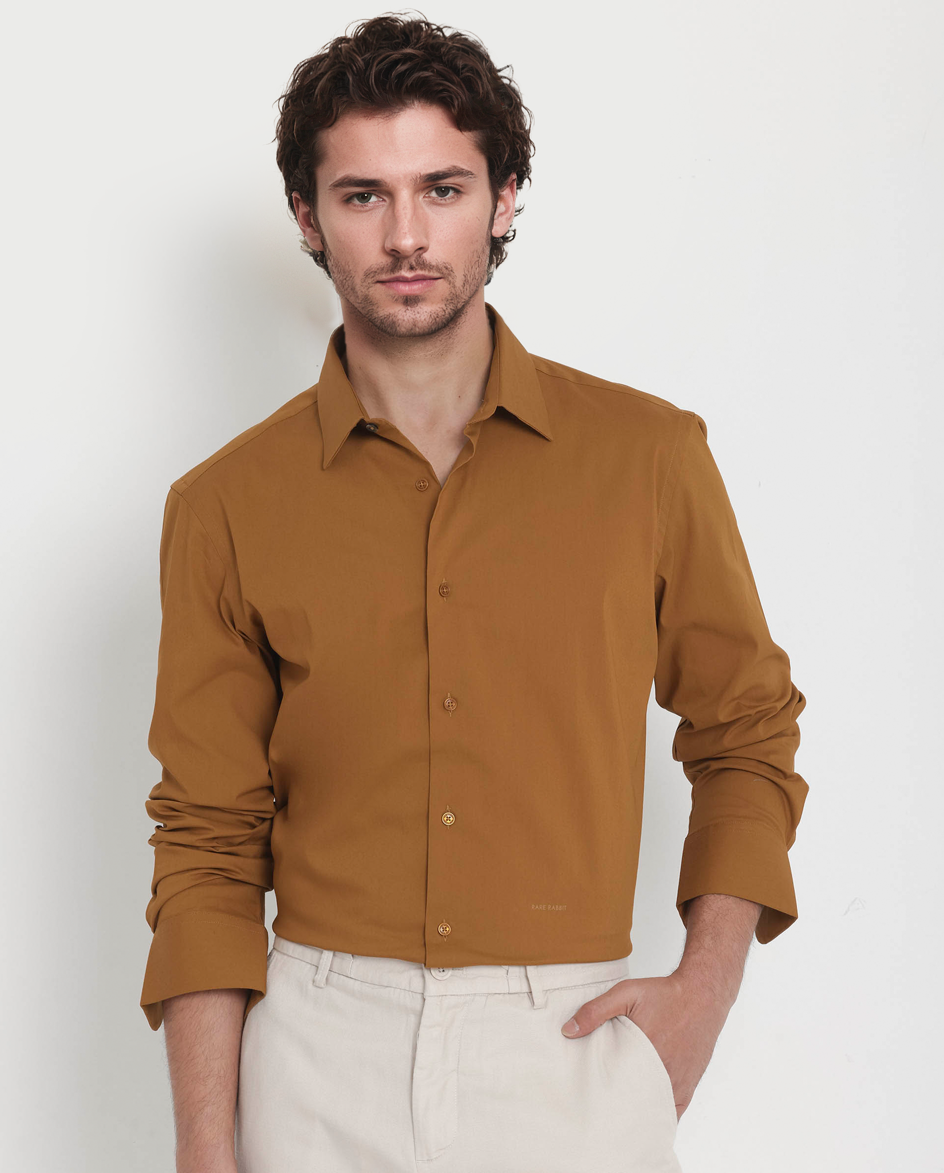 Men's Brown Formal Regular Fit Solid Full Sleeves Shirt