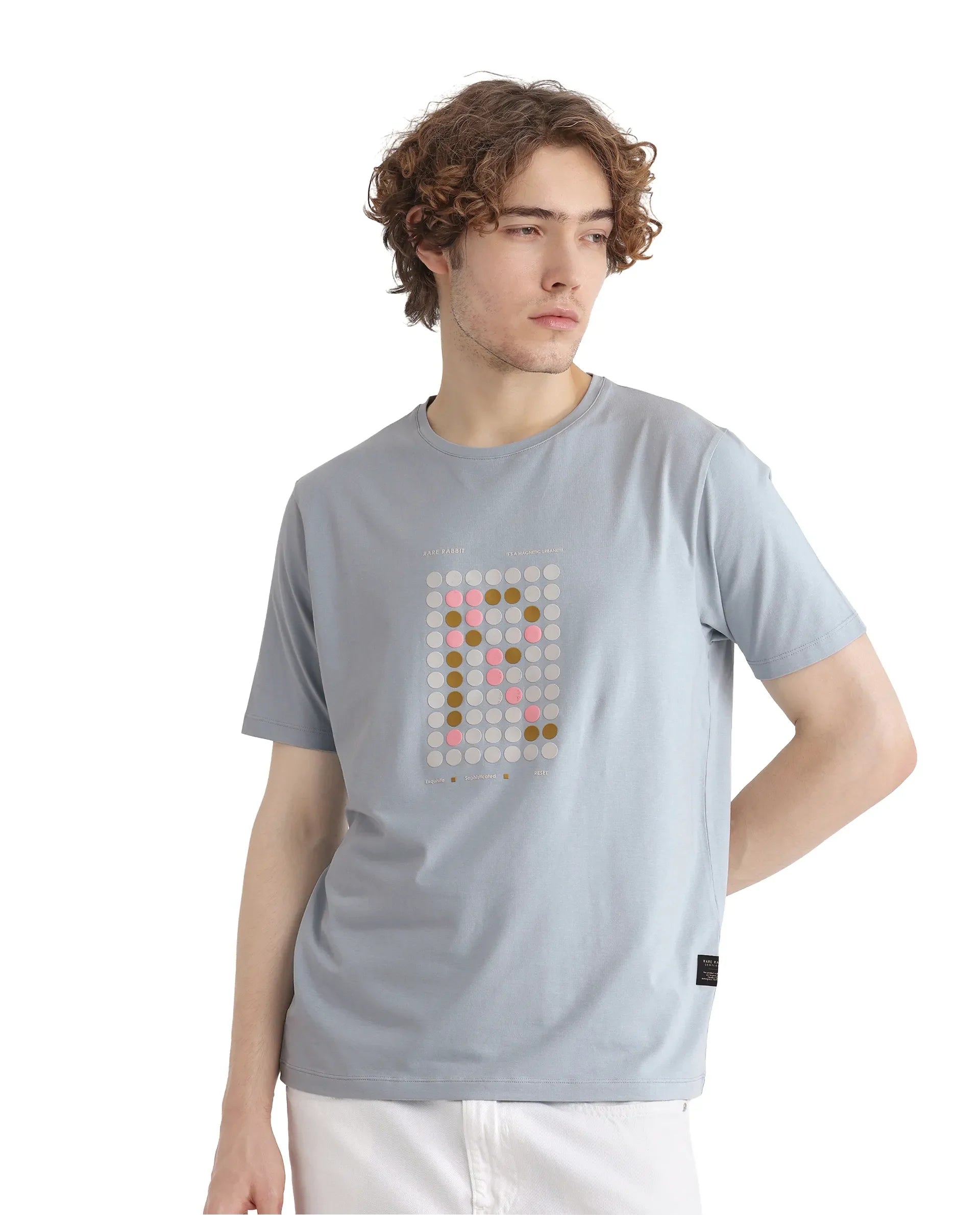 Men's Blue Casual Regular Fit Printed Half Sleeves Tshirt