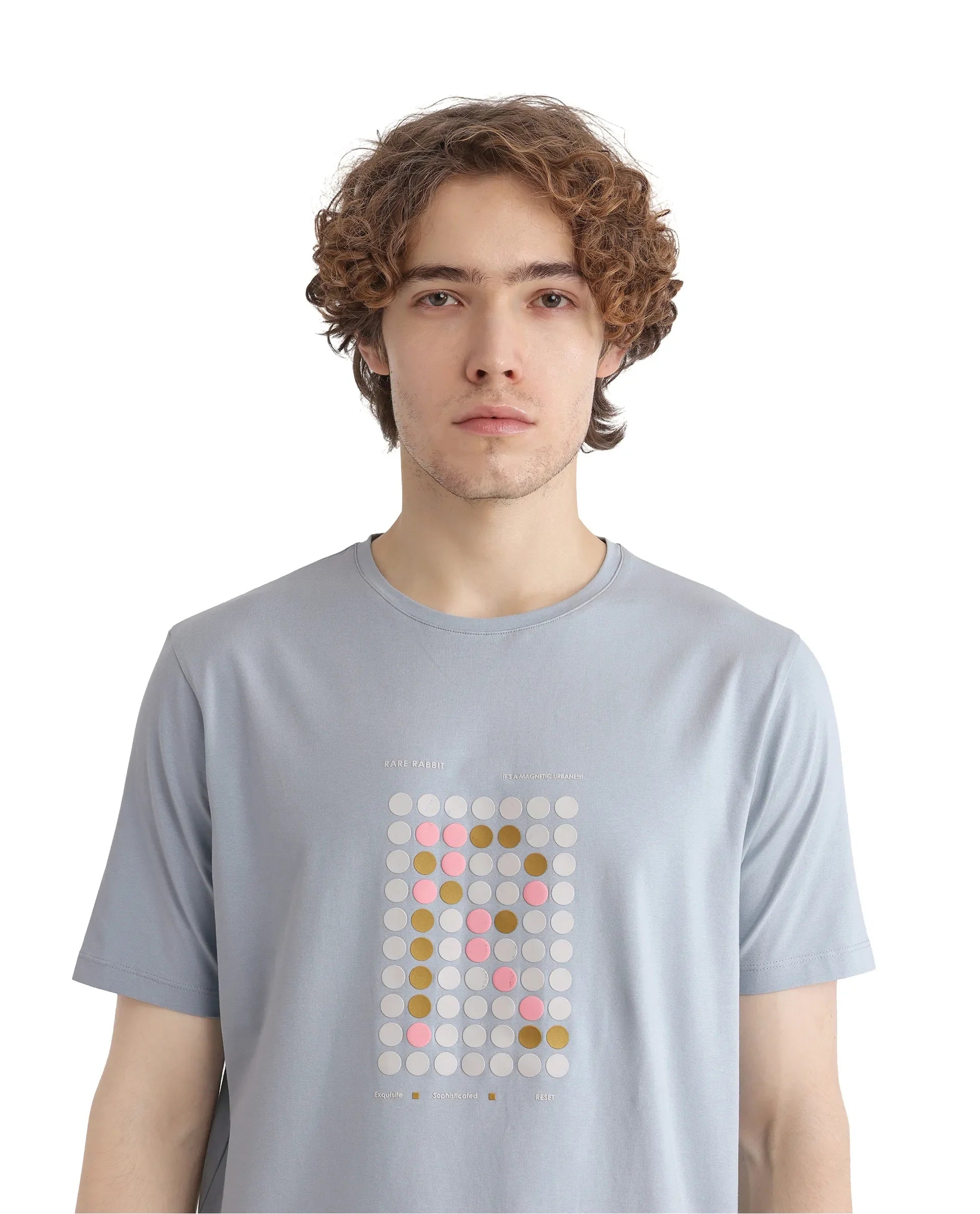 Men's Blue Casual Regular Fit Printed Half Sleeves Tshirt