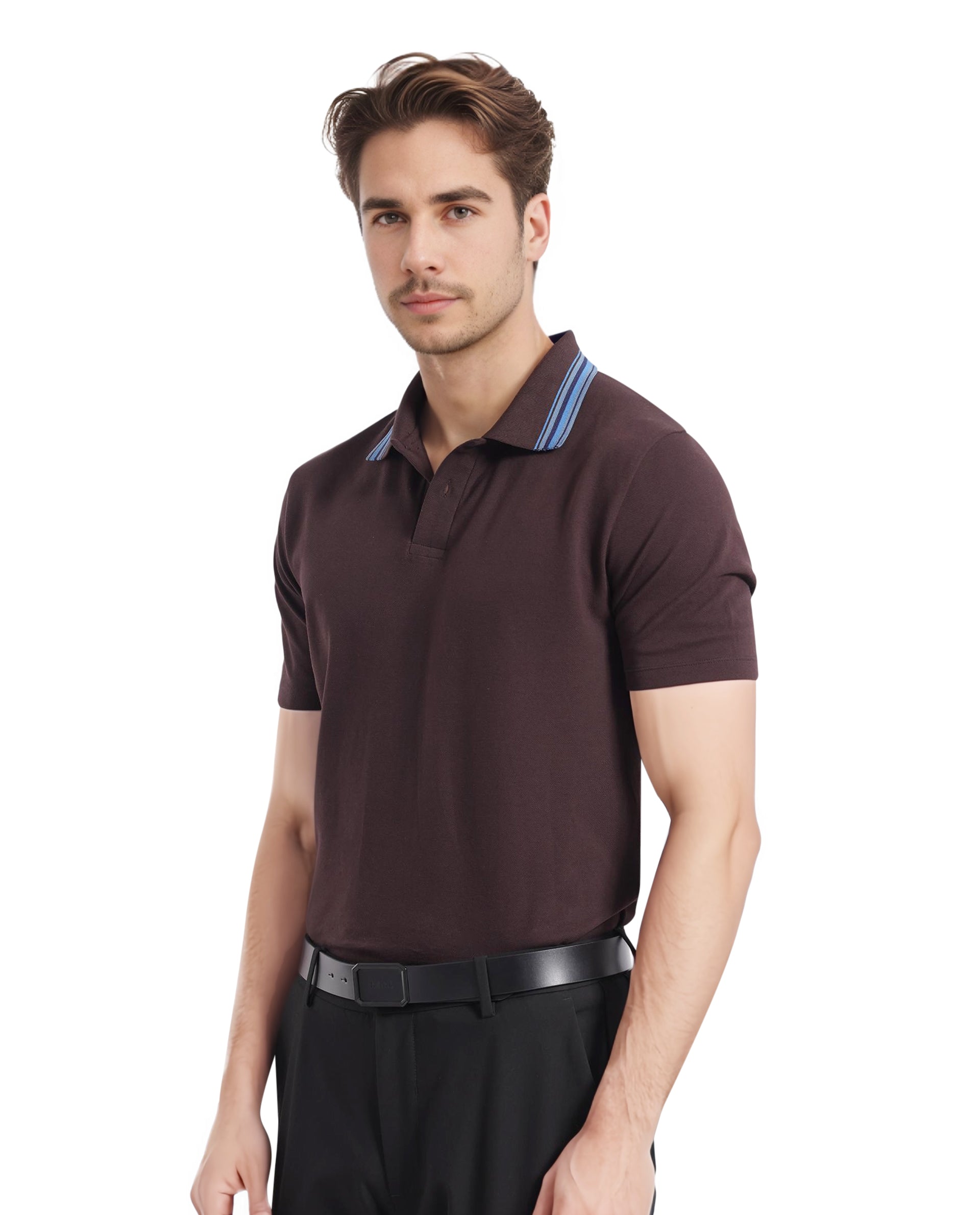 Men's Brown Casual Regular Fit Solid Half Sleeves Polo Tshirt