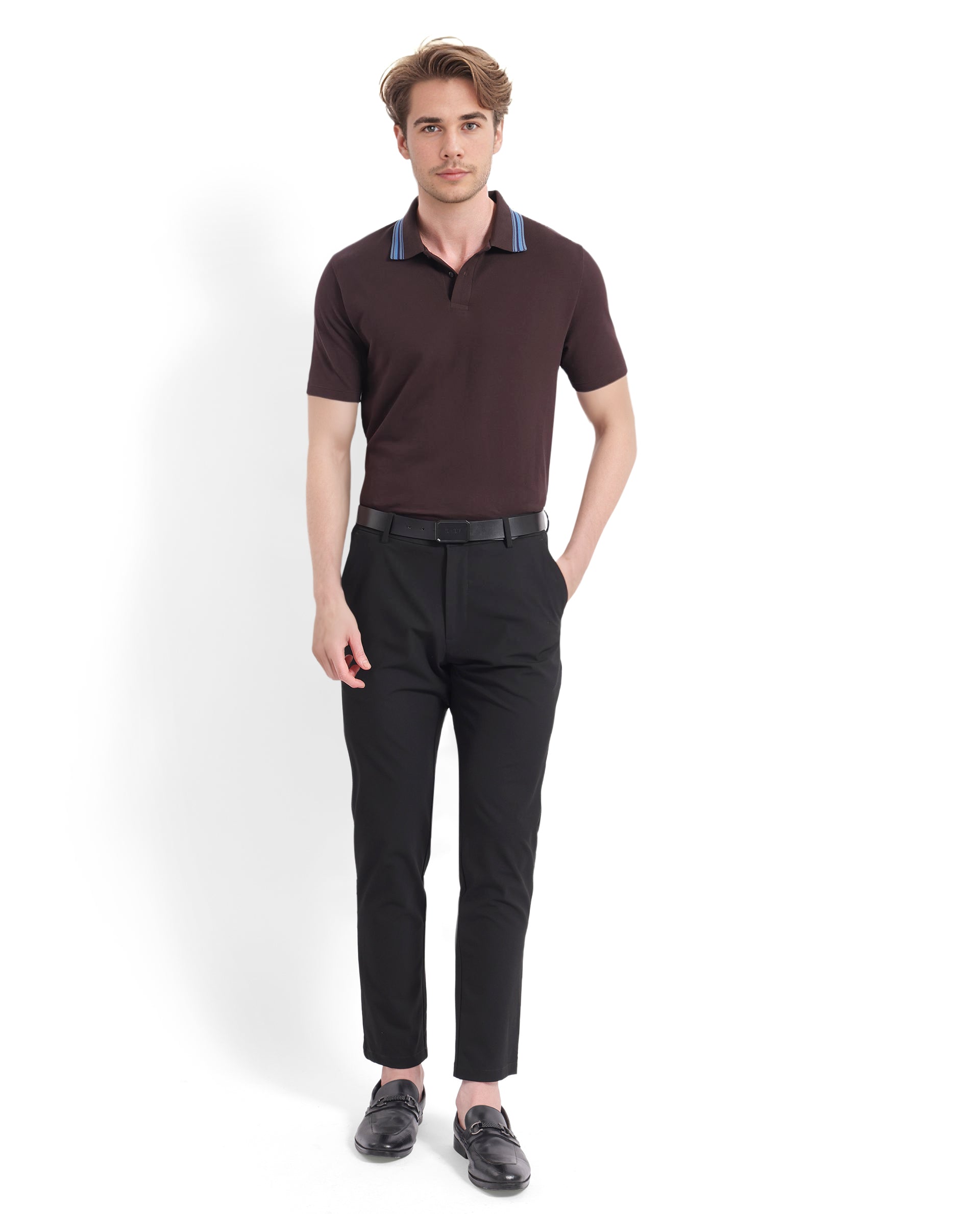 Men's Brown Casual Regular Fit Solid Half Sleeves Polo Tshirt