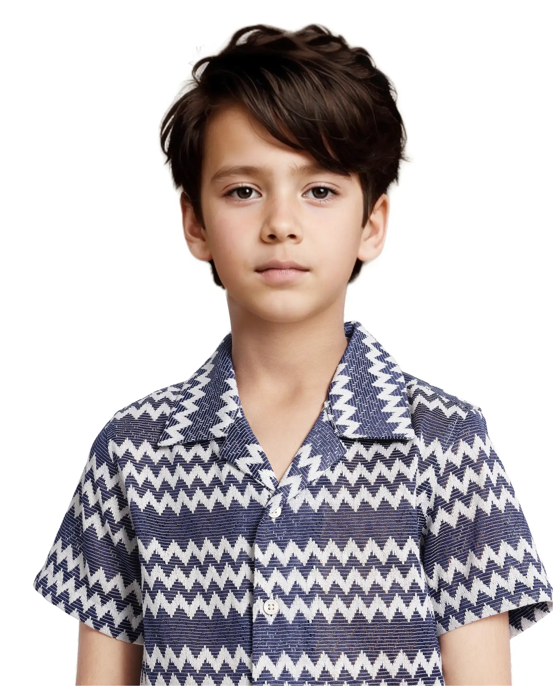 Boys Blue Casual Regular Fit Printed Half Sleeves Shirt