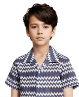 Boys Blue Casual Regular Fit Printed Half Sleeves Shirt