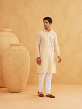Men's Multicolor Full Sleeves Straight Embroidered Kurta