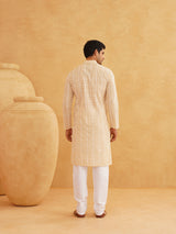 Men's Multicolor Full Sleeves Straight Embroidered Kurta