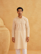 Men's Multicolor Full Sleeves Straight Embroidered Kurta