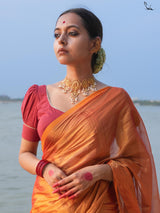Women's Multicolor Cotton Mul Saree