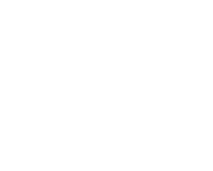 The Bear House
