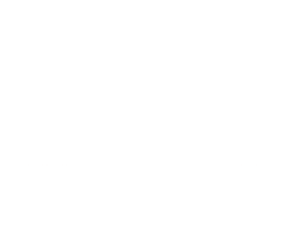The Bear House
