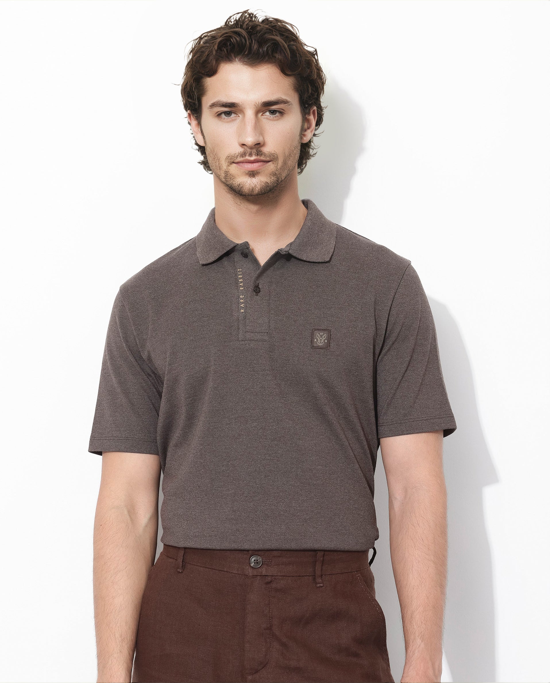 Men's Brown Casual Regular Fit Solid Half Sleeves Polo Tshirt