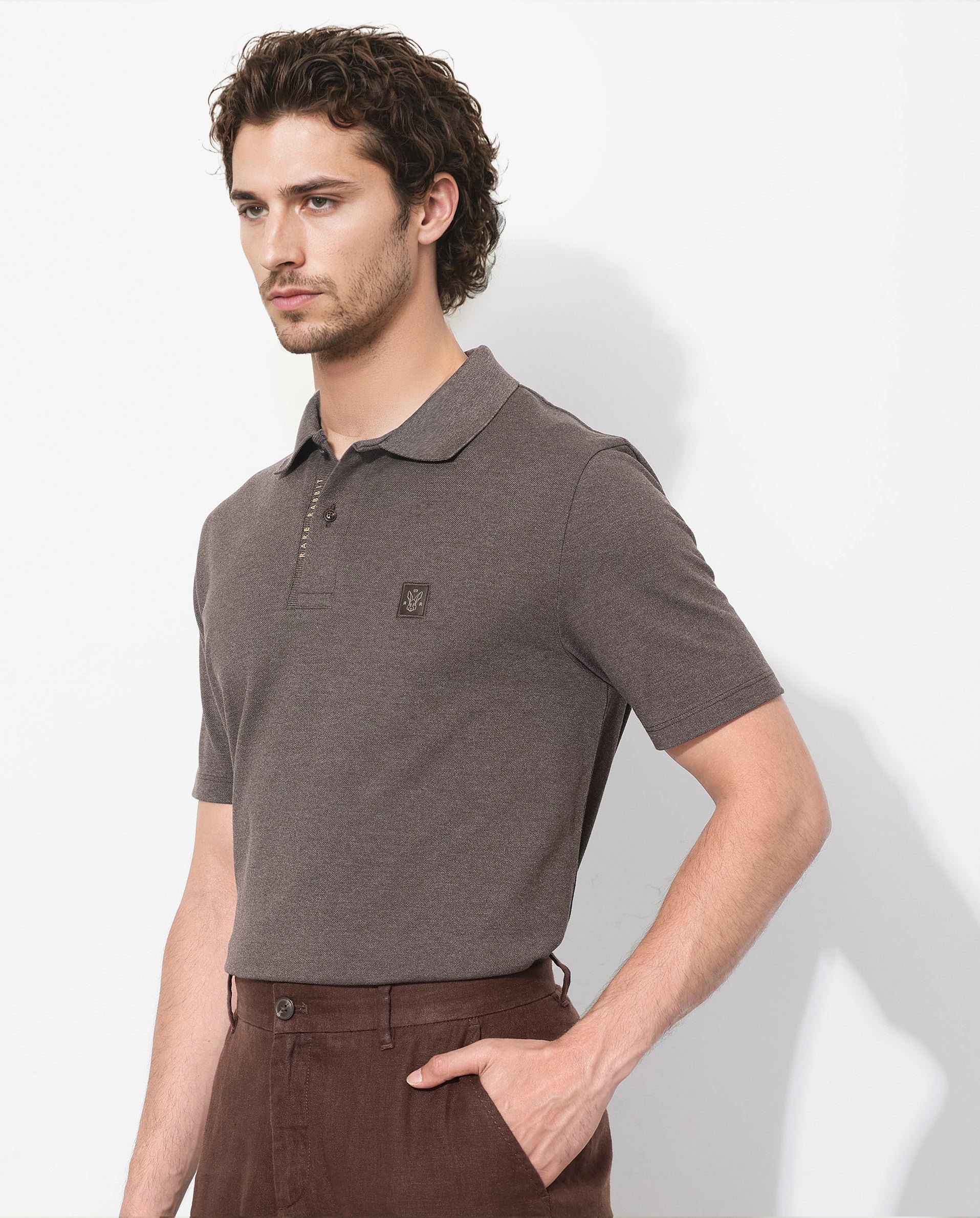 Men's Brown Casual Regular Fit Solid Half Sleeves Polo Tshirt