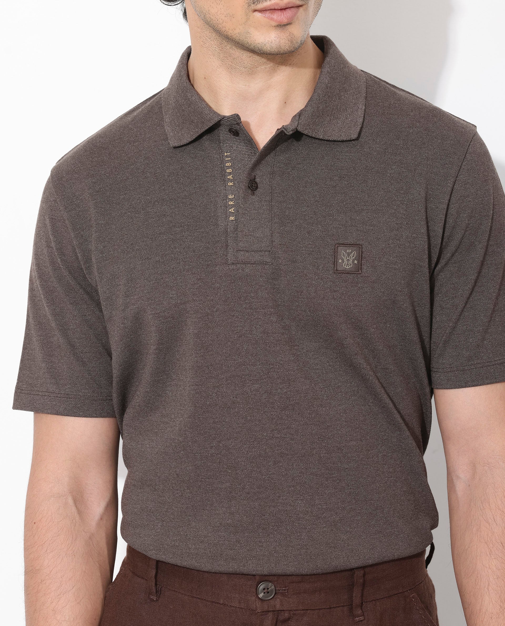 Men's Brown Casual Regular Fit Solid Half Sleeves Polo Tshirt
