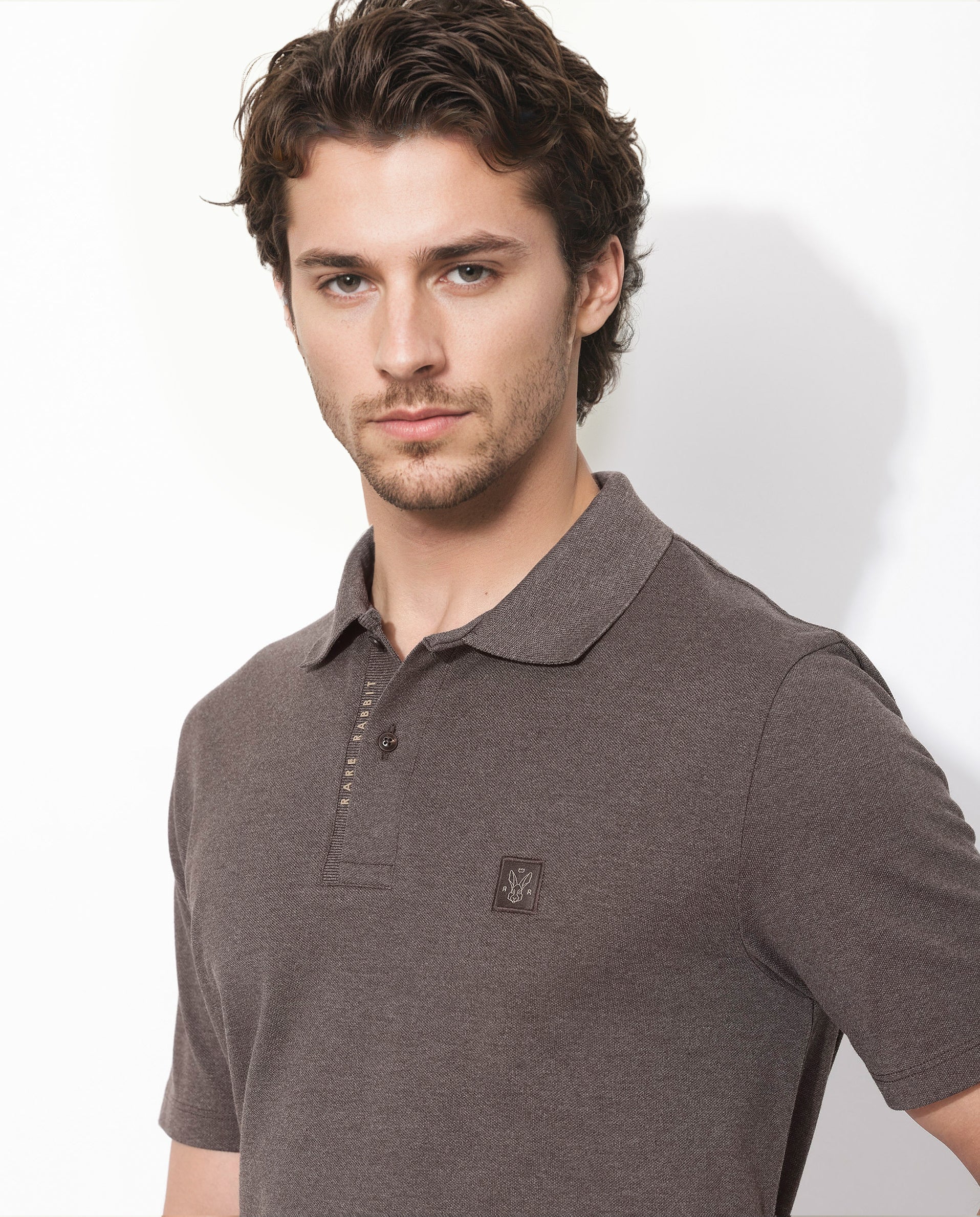 Men's Brown Casual Regular Fit Solid Half Sleeves Polo Tshirt