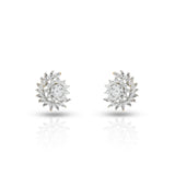 Women's Golden Zircon Celestina Stud Earrings
