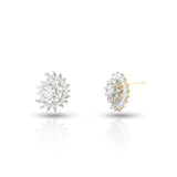 Women's Golden Zircon Celestina Stud Earrings