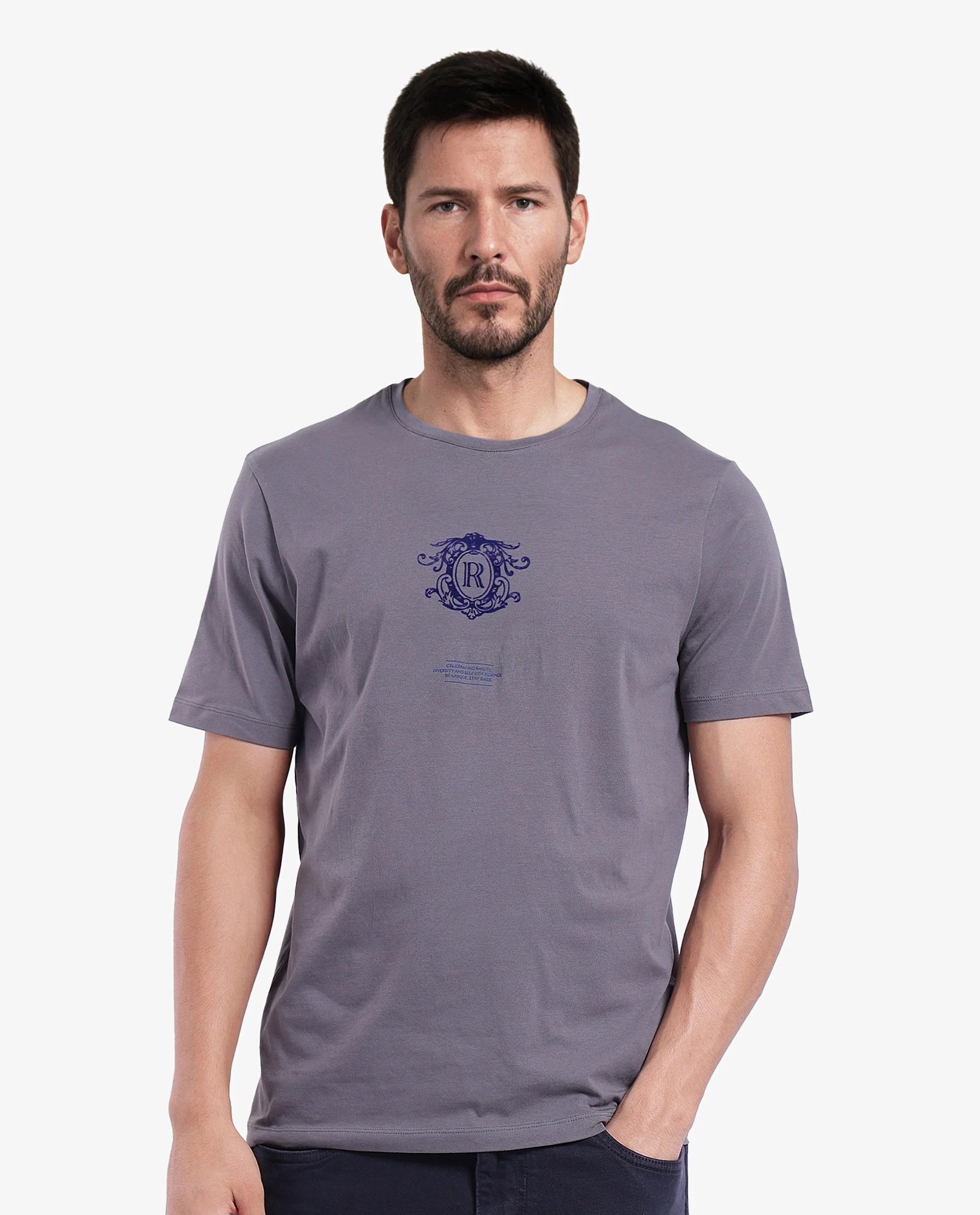 Men's Grey Casual Regular Fit Printed Half Sleeves Tshirt