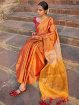 Women's Multicolor Cotton Mul Saree