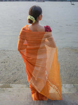 Women's Multicolor Cotton Mul Saree