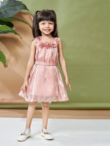 Girls Pink Party Wear Dress