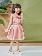 Girls Pink Party Wear Dress