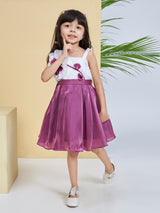 Girls Purple Party Wear Dress