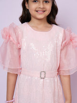 Girls Pink Party Wear Dress
