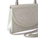 Women's Silver Casual Solid Clutch