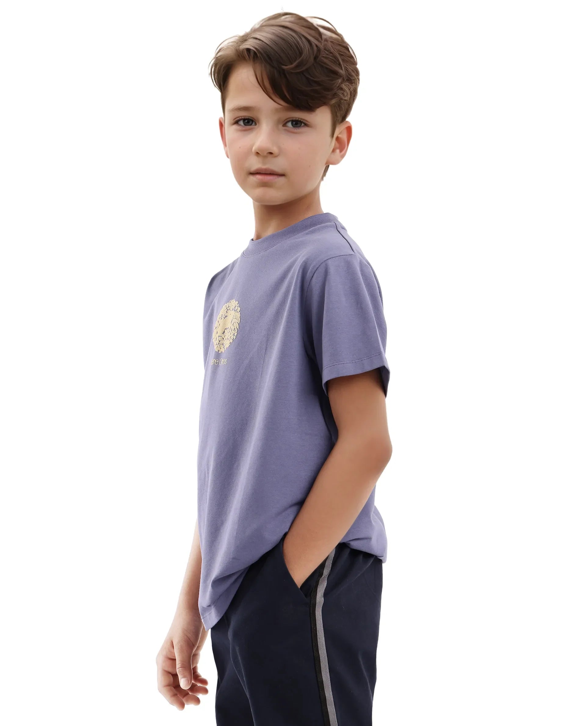 Boys Purple Casual Regular Fit Printed Half Sleeves Tshirt