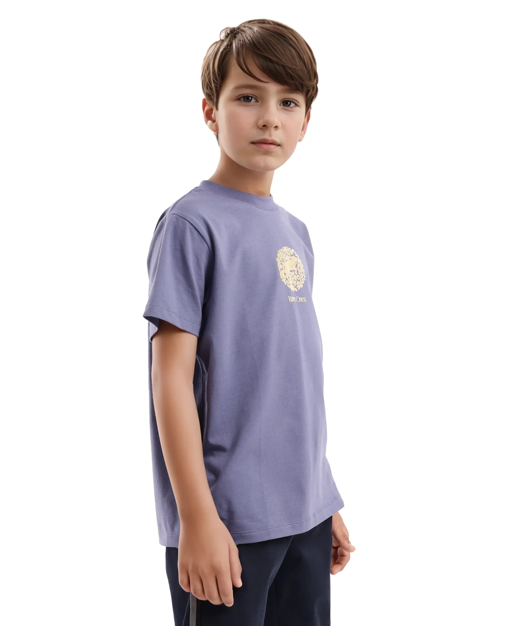 Boys Purple Casual Regular Fit Printed Half Sleeves Tshirt