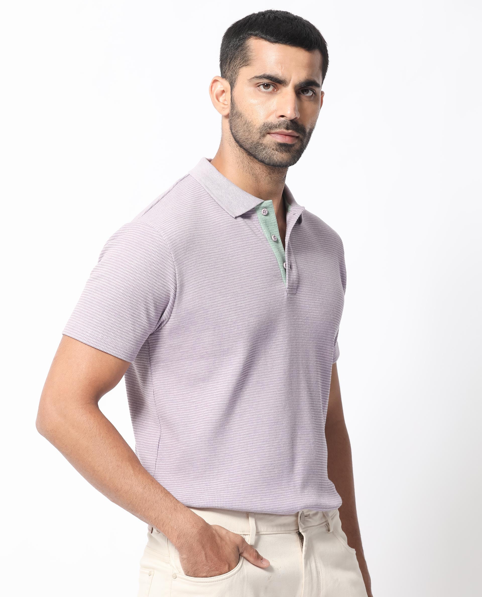 Men's Purple Casual Regular Fit Solid Half Sleeves Polo Tshirt
