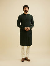 Men's Green Ethnic Regular Fit Solid Full Sleeves Kurta