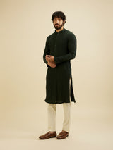 Men's Green Ethnic Regular Fit Solid Full Sleeves Kurta