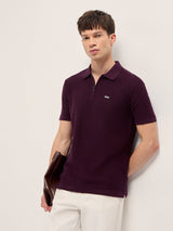Men's Maroon Casual Slim Fit Half Sleeves Polo Tshirt