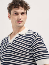 Men's Black Casual Regular Fit Solid Half Sleeves Polo Tshirt