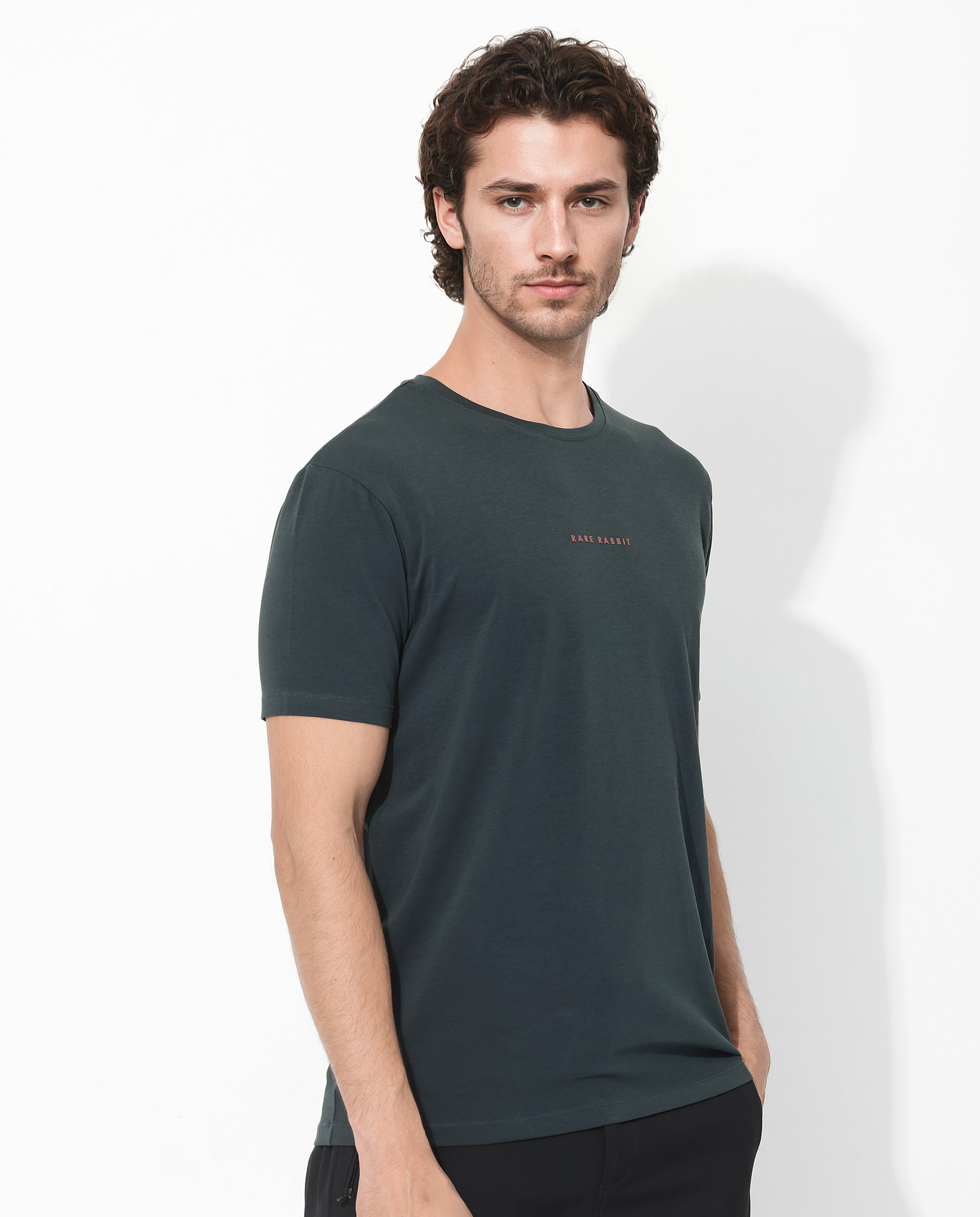 Men's Green Casual Regular Fit Solid Half Sleeves Tshirt
