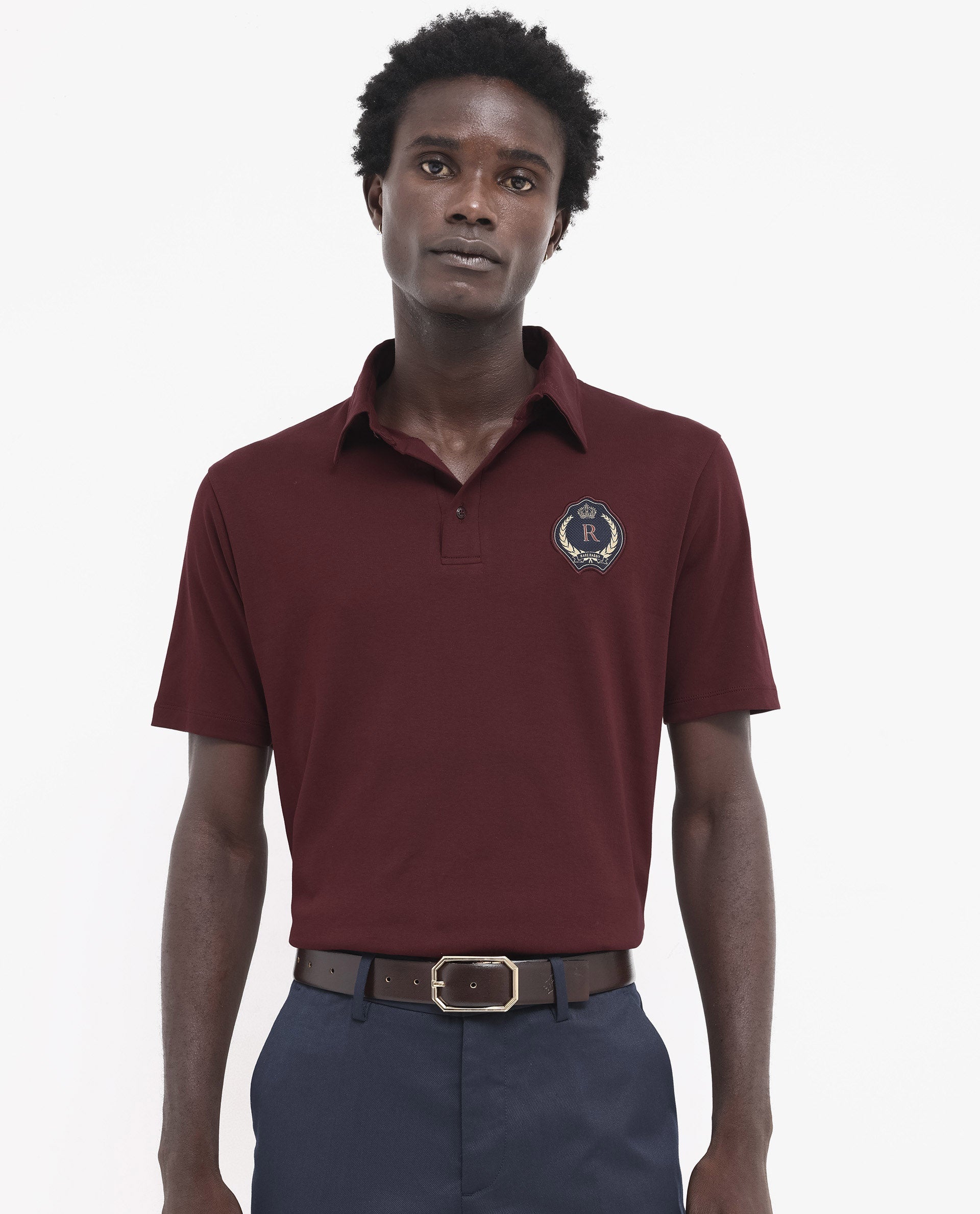 Men's Brown Casual Regular Fit Solid Half Sleeves Polo Tshirt