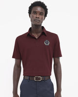 Men's Brown Casual Regular Fit Solid Half Sleeves Polo Tshirt