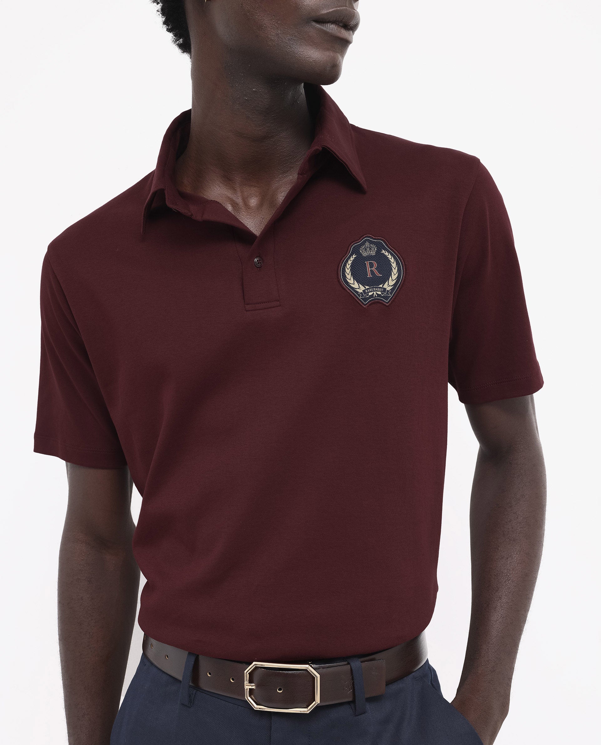 Men's Brown Casual Regular Fit Solid Half Sleeves Polo Tshirt