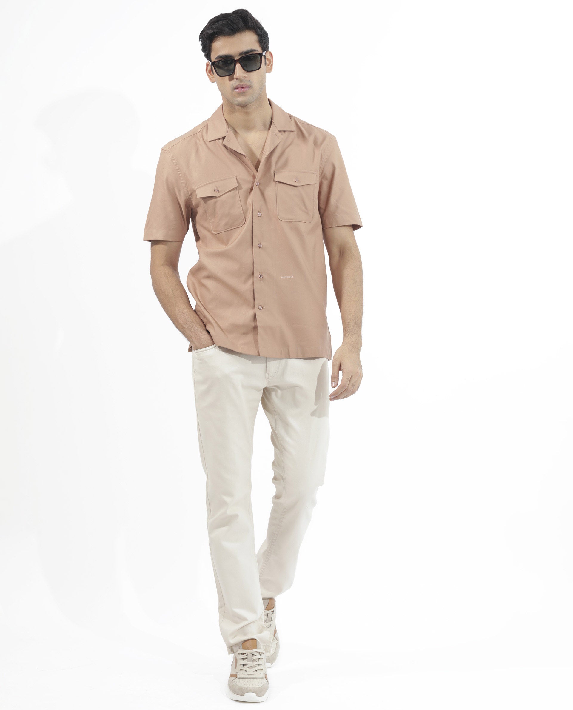 Men's Brown Casual Regular Fit Solid Half Sleeves Shirt