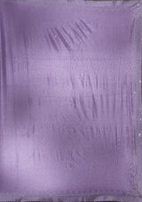 Women's Violet Silver Stonework Satin Saree